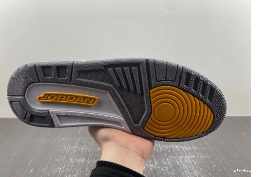 Retro 3  PE 869802-907  Jordan 869802-907 Kobe Bryant 0511